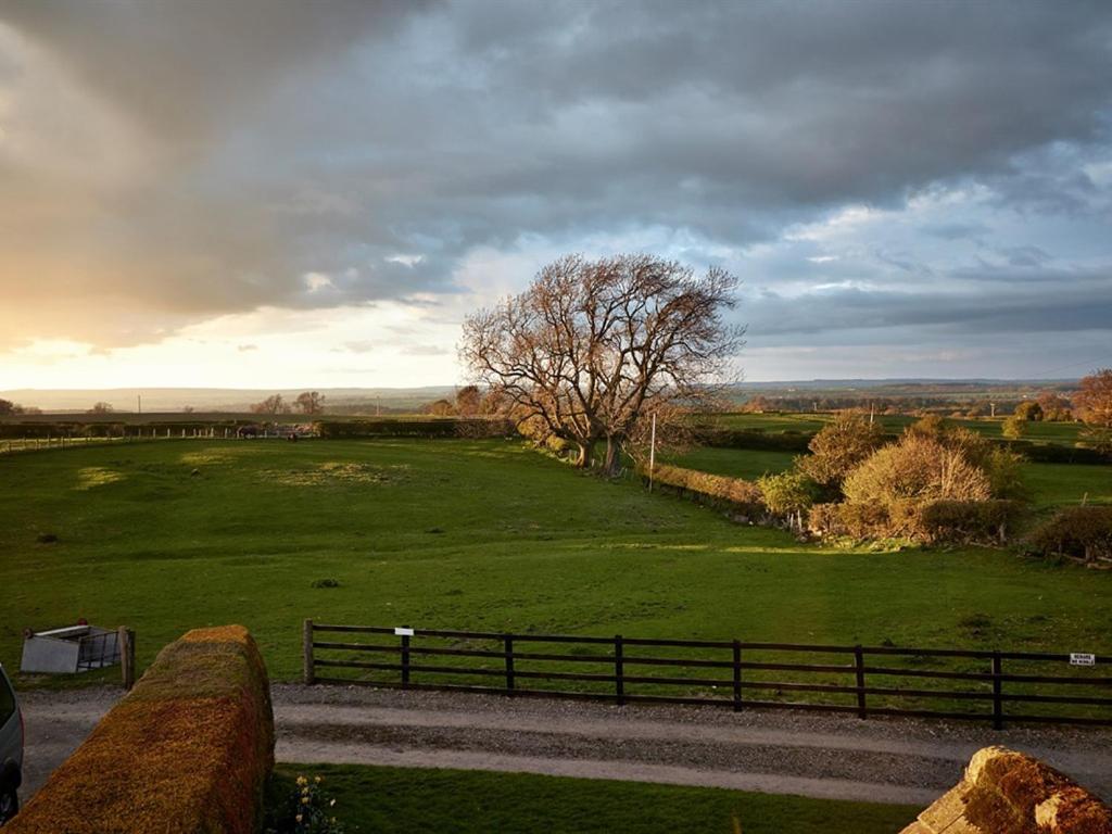 Lily Hill Farm Acomodação com café da manhã Barnard Castle Exterior foto