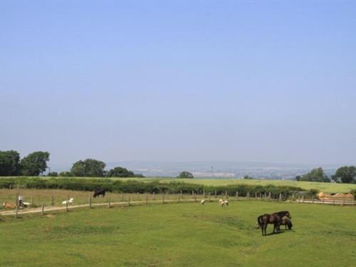 Lily Hill Farm Acomodação com café da manhã Barnard Castle Exterior foto